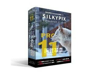 市川ソフトラボラトリー SILKYPIX Developer Studio Pro11 パッケージ版