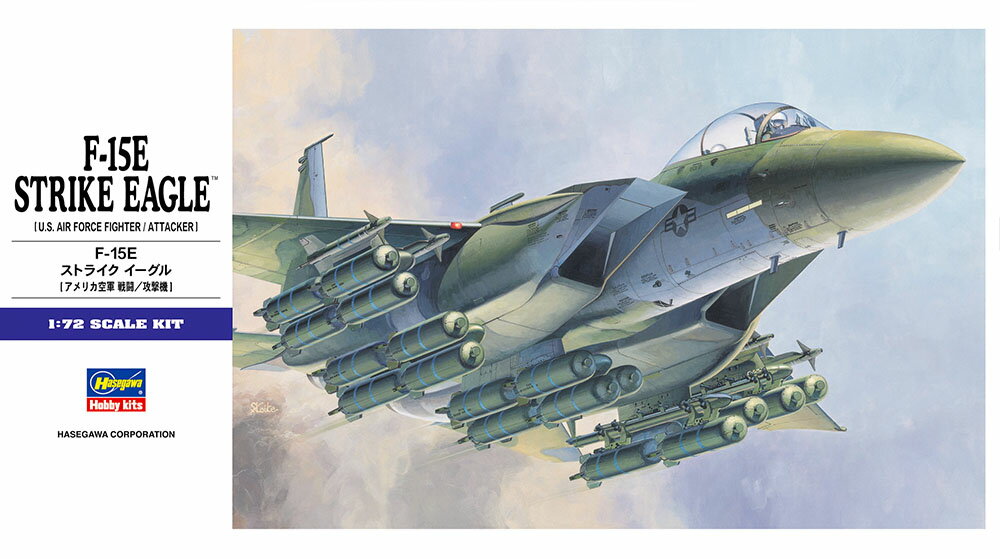 Hasegawa ハセガワ 1/72 F-15E ストライク イーグル E10(3)