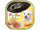 MARS マースジャパンリミテッド シーザー 子いぬ用 ビーフ にんじん&たまご入り 100g