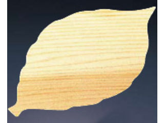 YAMACO ヤマコー 杉懐敷木の葉100枚入／24010