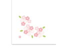 AOTO アオト印刷 和紙テーブルマット「花日和」Sサイズ(100枚入)A-3-4「桜」