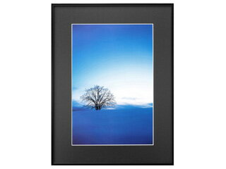 HAKUBA ハクバ FZG01-A3NBK(ブラック)　ZEROフレーム G-01 A3ノビ