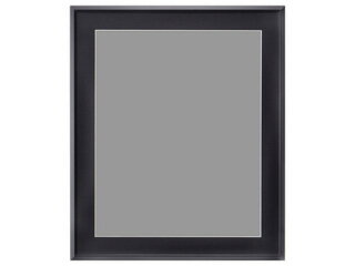HAKUBA ハクバ FAG2-BKZ(ブラック)　アルミ額縁 AG-02 全紙サイズ
