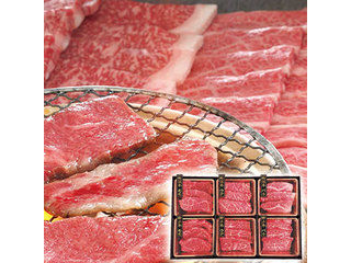 ビーフマイスター 神戸牛 松阪牛 食べ比べ 【代引不可】【沖縄県及び離島には配送できません】