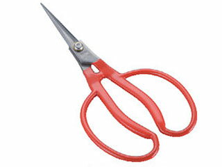 小林製鋏株式会社 K-21 ステンレスぶどう手曲り鋏