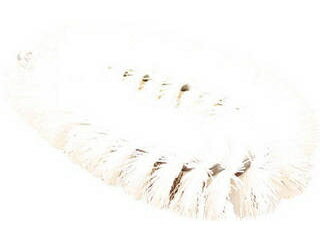 BURRTEC バーテック バーキュート衛生管理用たわし Lサイズ 白 62805001