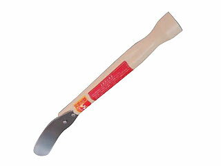 かぼちゃの種取り