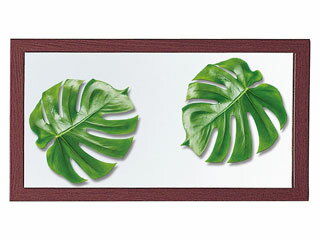 モンステラフレームL（ブラウン） 06925