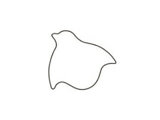 KANDA カンダ たかもりの生抜 千鳥 大 #3