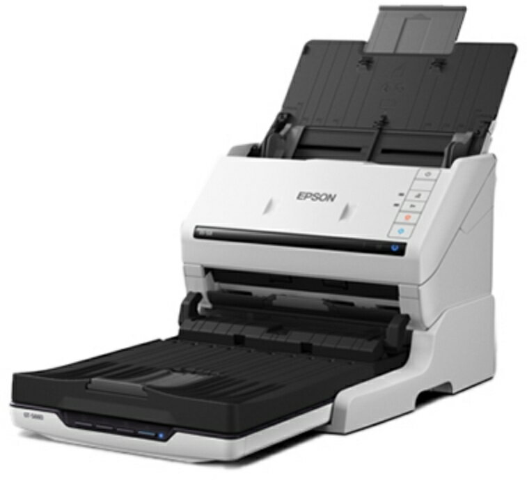 EPSON ץ A4ʡ/ȥե+եåȥ٥å/ɥå󥰥ǥ/DS-531+GT-S660/A435/ʬ DS-531FB