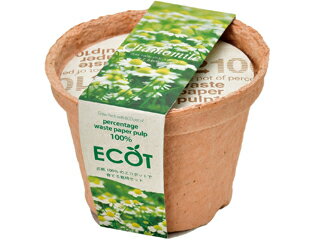 SEISHIN 聖新陶芸 GD-41009 エコット(S)カモミール