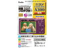 KENKO ケンコー KLP-NCPA300 液晶プロテクター ニコン COOLPIX A300 用