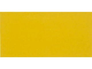 TRUSCO/トラスコ中山 普通反射シート 封入レンズ型 455mmX227mm 黄 HS-4522FY