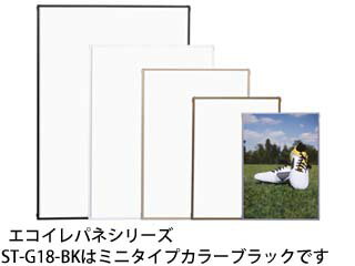 ARTE  ѥ ߥ (֥å) ST-G18-BK