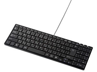 サンワサプライ USBスリムキーボード(ブラック) SKB-SL17BKN