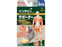 Kowa 興和新薬 バンテリンコーワサポーター 足くび専用大きめサイズ シルバーグレー 23079
