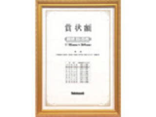 Nakabayashi ナカバヤシ 賞状額/金ケシ/賞状B5 KW-201-H