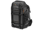 Lowepro [v LP37270-GRL@vgbJ[ BP550 AW II GRL