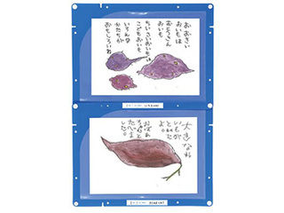 ARTEC 【30個セット】 ARTEC 縦横連結掲示ホルダー A4 ATC3614X30