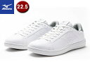 ~Ym mizuno yjZbNXzMIZUNO CW1 y22.5cmzy3EzyzCg~Vo[z D1GA2084 Xj[J[