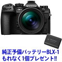 【今なら予備バッテリー BLX-1 (1個)プレゼント】 OM SYSTEM オーエムシステム 【今なら予備バッテリー BLX-1 (1個)プレゼント】OM-1...