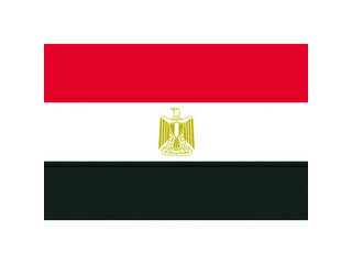 TOSPA/東京製旗 国旗No.1(70×105cm) エジプト・アラブ 416163
