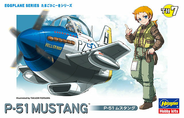 Hasegawa ϥ ޤҤ ꡼ P-51 ॹ