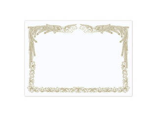 サンワサプライ サンワサプライ インクジェット用賞状(A4・横) JP-SHA4YN2