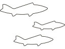 KANDA カンダ たかもりの生抜 3PC 鮎