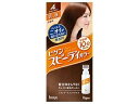 hoyu ホーユー ビゲンスピーディカラー乳液4