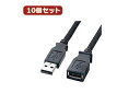 サンワサプライ 【10個セット】 サンワサプライ ナイロンメッシュUSB2.0ケーブル KU20-NM20ENK KU20-NM20ENKX10