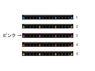 Raymay/쥤ᥤƣ ५顼구15cm ԥ AJR201 P