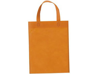 SunNap/サンナップ 不織布バッグ A4サイズ マチなし 10枚 オレンジ FCB-A4ORN