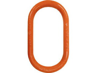 饦㤨COLUMBUS McKINNON/ХޥåΥ CM ޥ HA 100פβǤʤ11,660ߤˤʤޤ