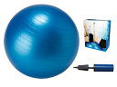 LEZAX/レザックス IBFG-5759 IDEAL BODY フィットネスボール 65cm (青)