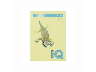 mondi/モンディ 【mondi/モンディ】バイオトップカラーPPC A4 レモン BT527 500枚入