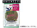 KINBOSHI キンボシ GS #7018 鳥よけネット(小) 2x3m(3)