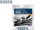 GOSEN/ゴーセン SS507RB ソフトテニス ストリングス 剛戦 X7V （ロイヤルブルー）