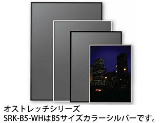 ARTE アルテ オストレッチ B5 (シルバー) SRK-B5-SV