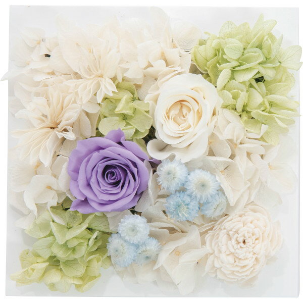 プリザーブドウォールフラワー(スクエア) パープル