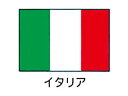 川正染工 エクスラン万国旗 70×105cm/イタリア