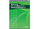 発売日：2011/6/15「誰でもわかる　eラーニング制作ノウハウ　Adobe Captivate 5」では、Adobe Captivate 5の基本的な操作方法について学ぶことができます。PowerPointスライドやビデオを追加したeラーニング教材や、インタラクティブコンテンツの作成方法、 質問スライドの作成、SCORMに対応したパブリッシュの設定方法について学習していきます。 商品情報 OS-供給メディアDVD対応機種- ATTE705　