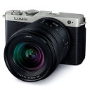Panasonic パナソニック DC-S9K-S(ダークシルバー) LUMIX S9 標準ズームレンズキット 【パナソニック正規取扱店】 フルサイズミラーレス一眼カメラ ルミックス(2)