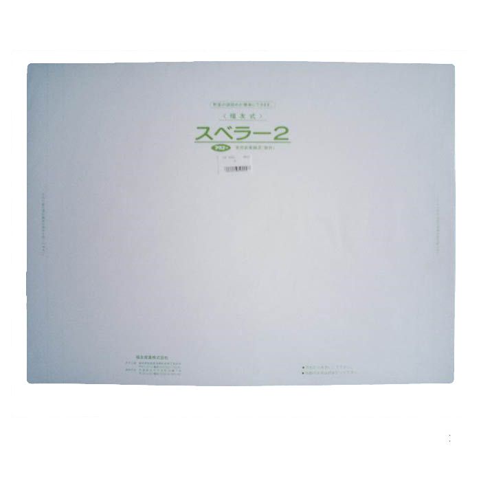 共福 スベラー2