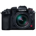 Panasonic パナソニック DC-GH7L ブラック LUMIX GH7 標準ズームレンズキット ミラーレス一眼カメラ ルミックス 【当店はパナソニック家電製品正規取扱店です】