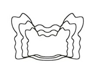 たかもり(有) たかもりの生抜 かに 中 #2