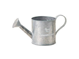 KEI ケー・イー・アイ 【GREENHOUSE】フレンチシルバーブリキ L 3392-A ジョーロ