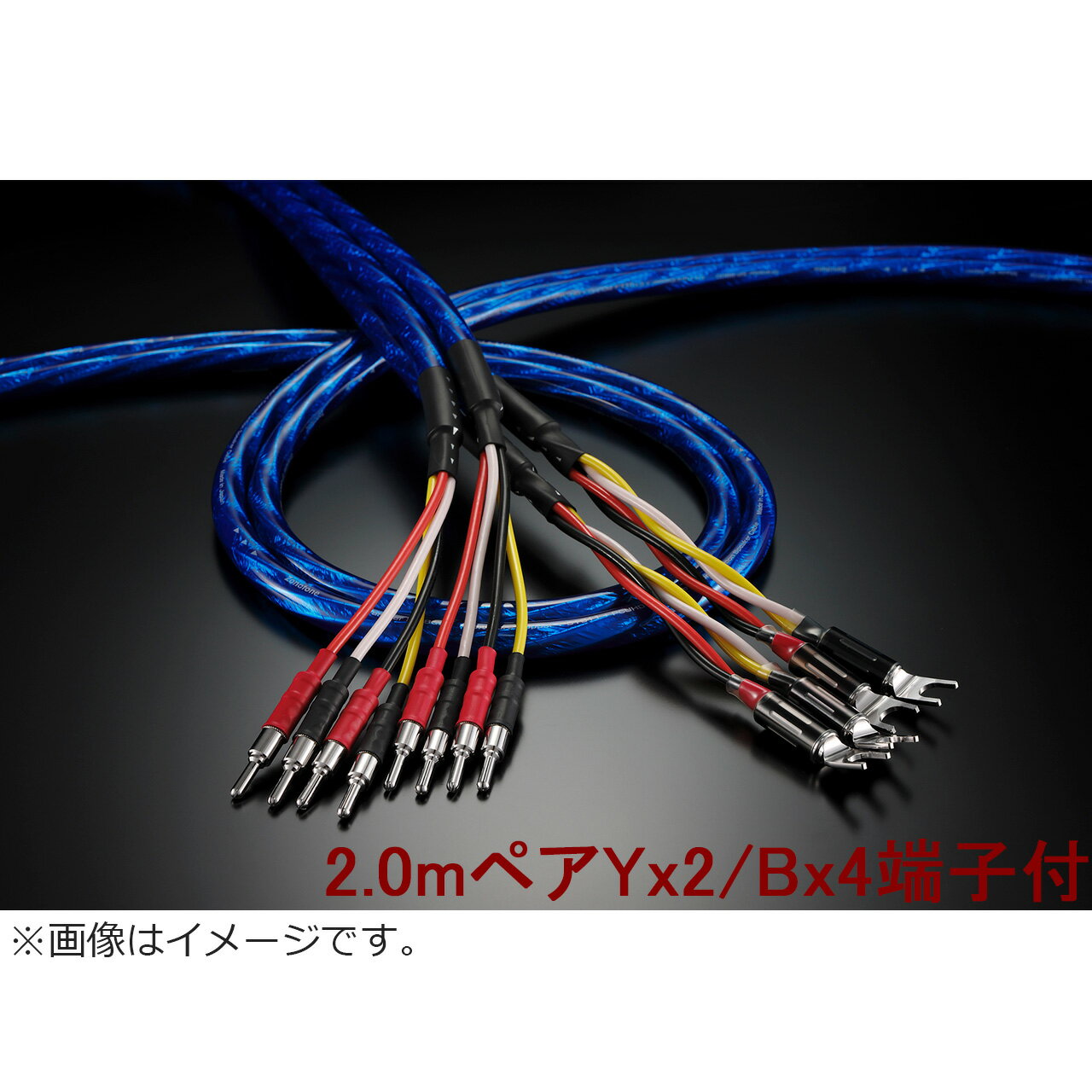 Zonotone Υȡ Granster SP-8800 2.0mڥ Yx2/Bx4ü  ԡ֥ 󥹥