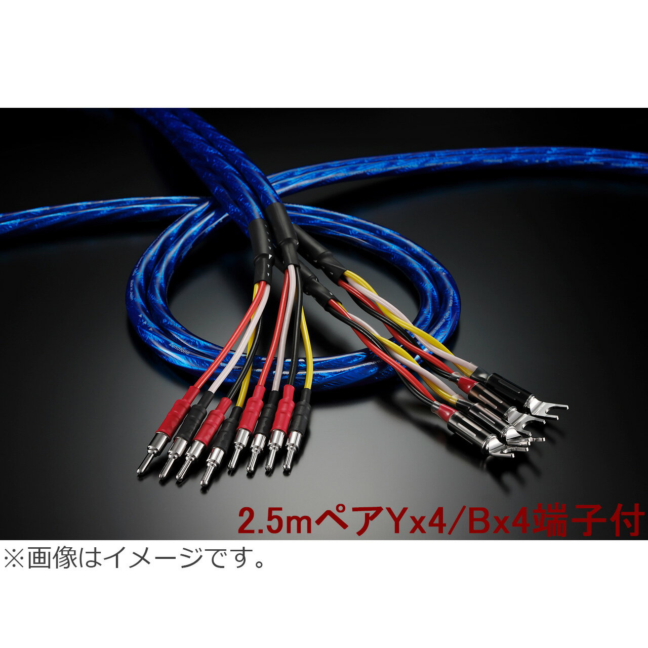 ʤΤᡢǼ23֤ۤɤޤ Zonotone Υȡ Granster SP-8800 2.5mڥ Yx4/Bx4...