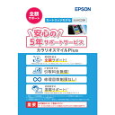 EPSON エプソン カラリオスマイルPlus カートリッジモデル 全額サポート 購入同時5年 SL50CD5R 【単品購入不可・キャンセル不可】(2)